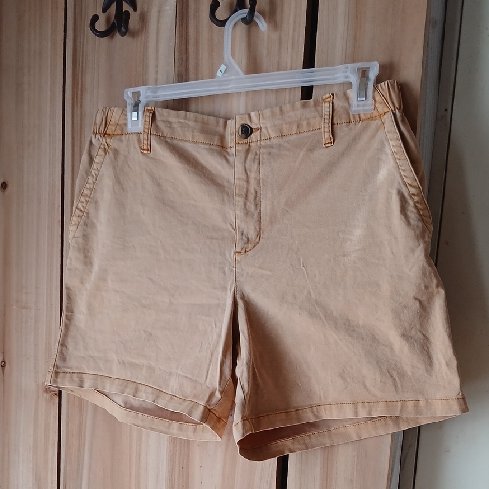 Old Navy Men's Tan Flat Front Shorts